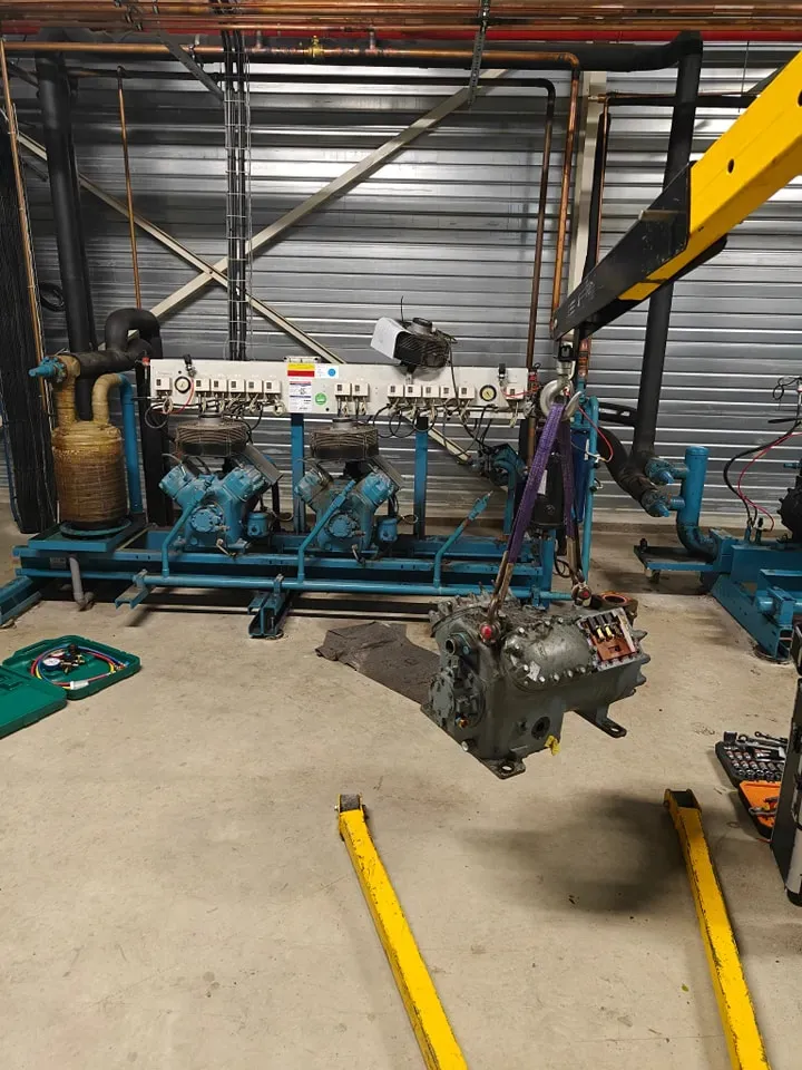 473823473_122173608602251140_8322069209322132621_n